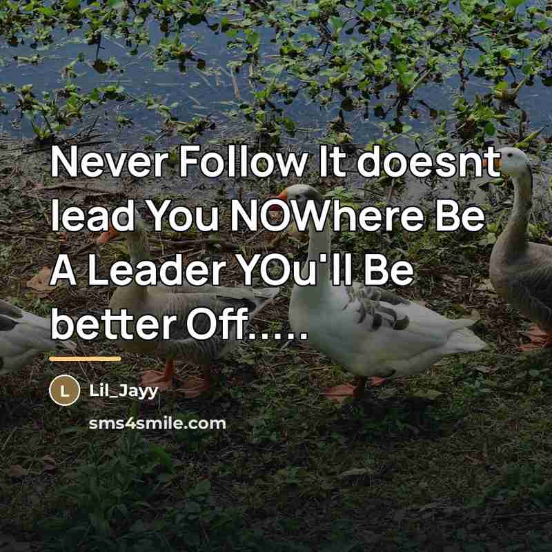 “Never Follow It doesnt lead You NOWhere Be A Leader…” quote by Lil_Jayy