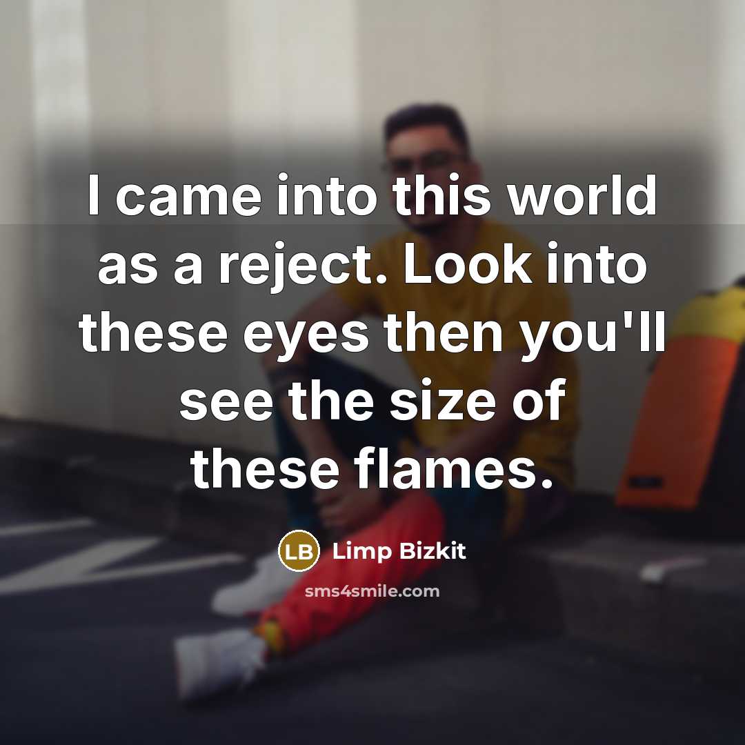 “I came into this world as a reject. Look into these eyes then you'll see the size of these flames.” quote by Limp Bizkit