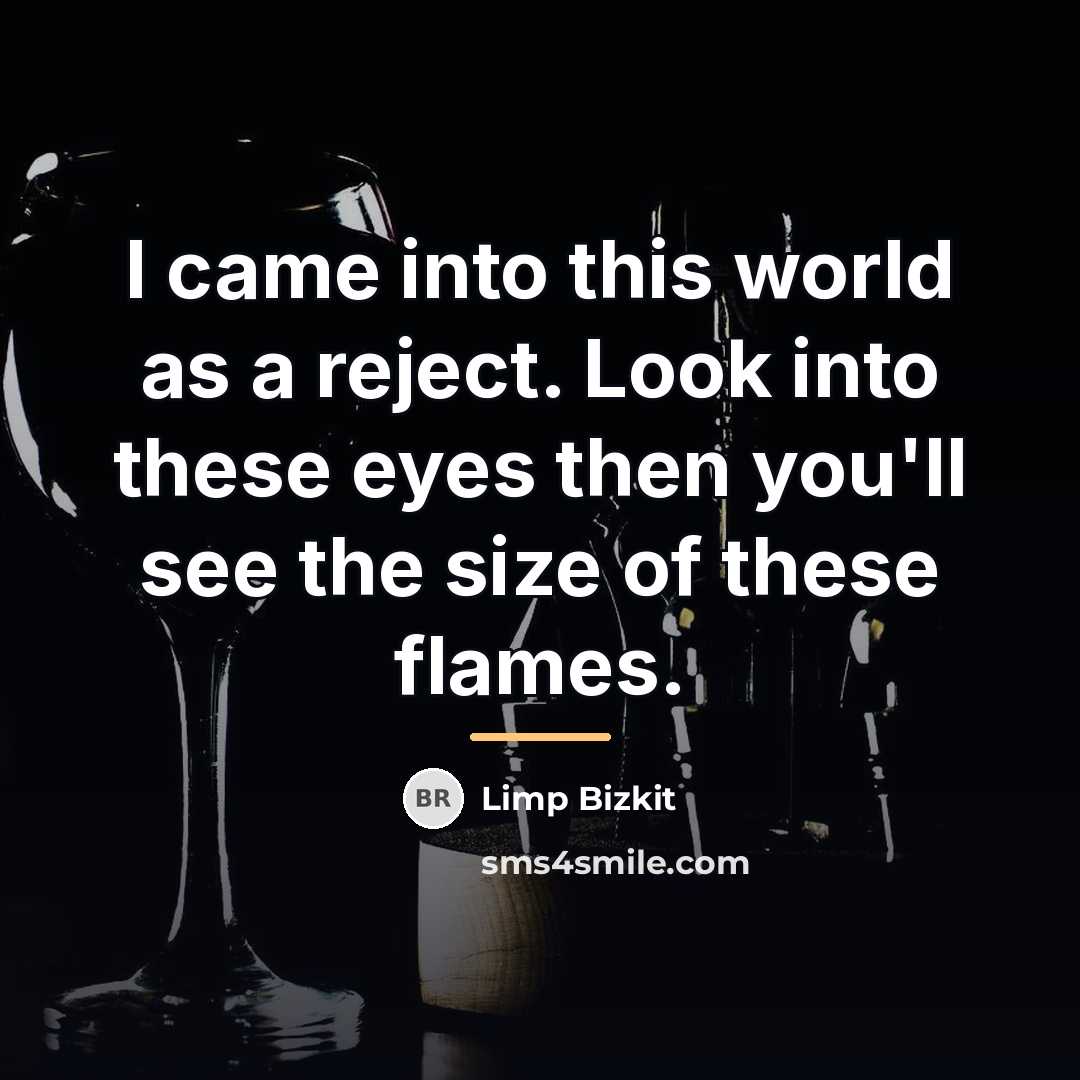 “I came into this world as a reject. Look into…” quote by Limp Bizkit