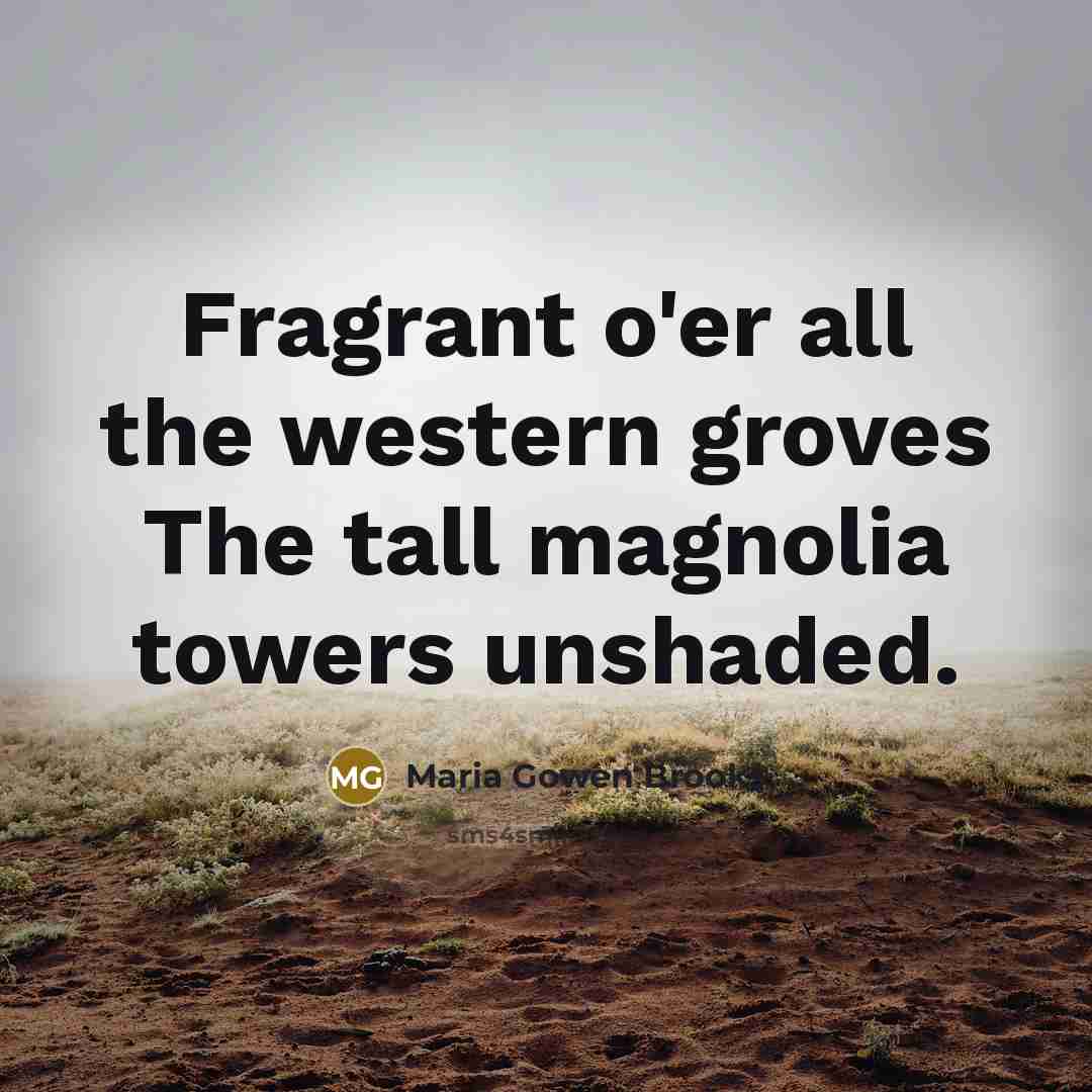 “Fragrant o'er all the western groves The tall magnolia towers…” quote by Maria Gowen Brooks