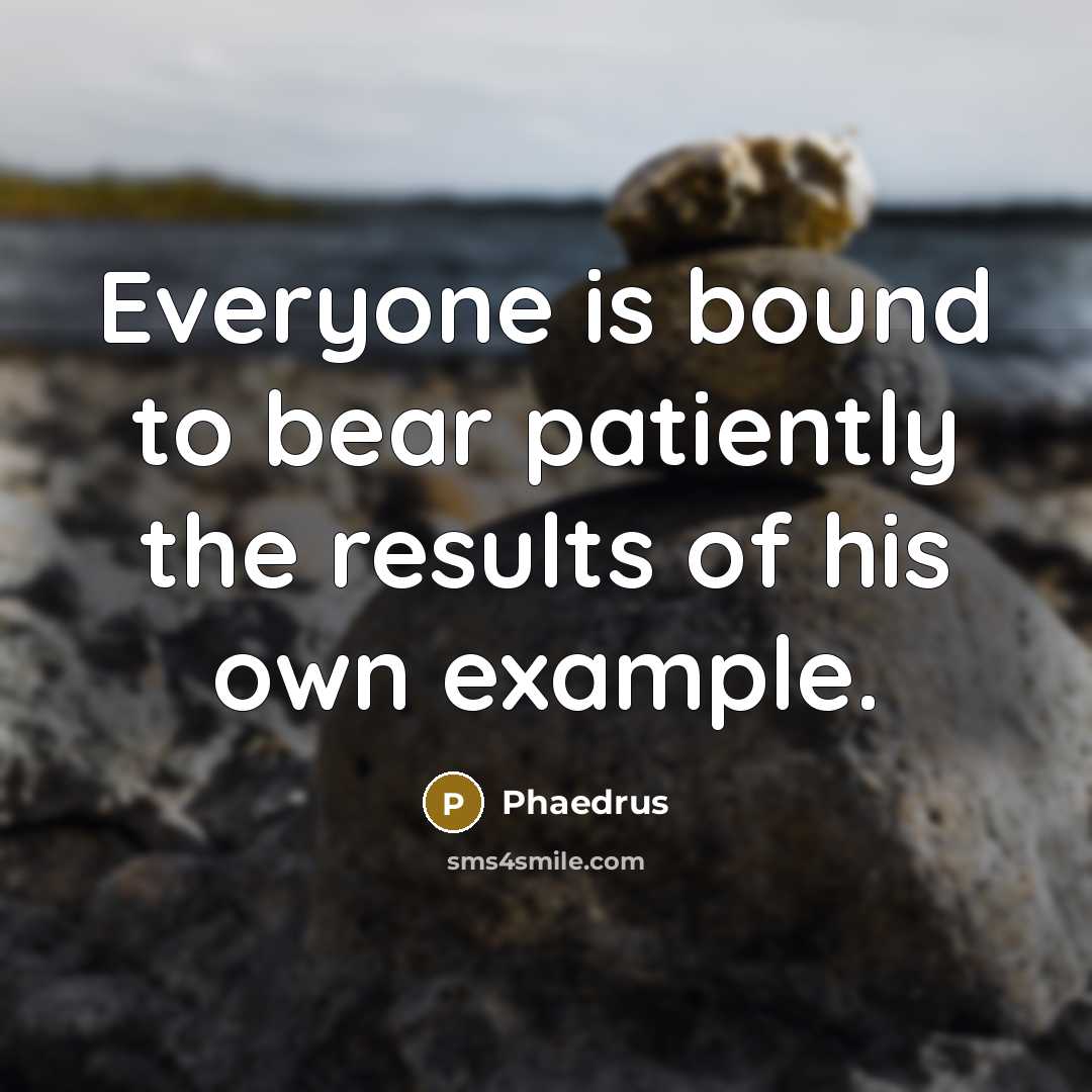 “Everyone is bound to bear patiently the results of his…” quote by Phaedrus