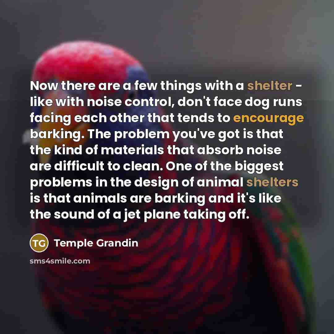 “Now there are a few things with a shelter -…” quote by Temple Grandin