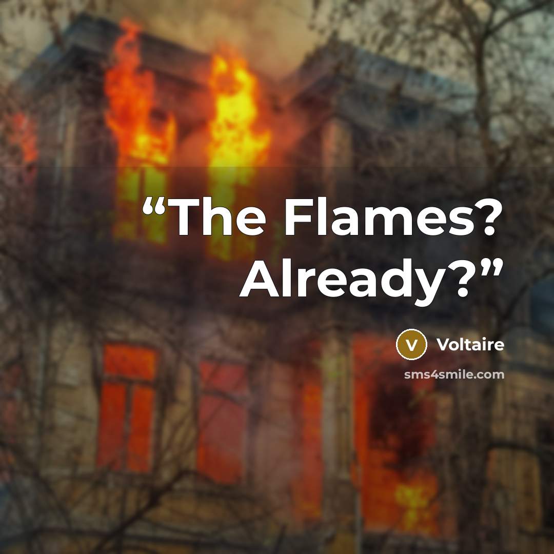 “The Flames? Already?” quote by Voltaire