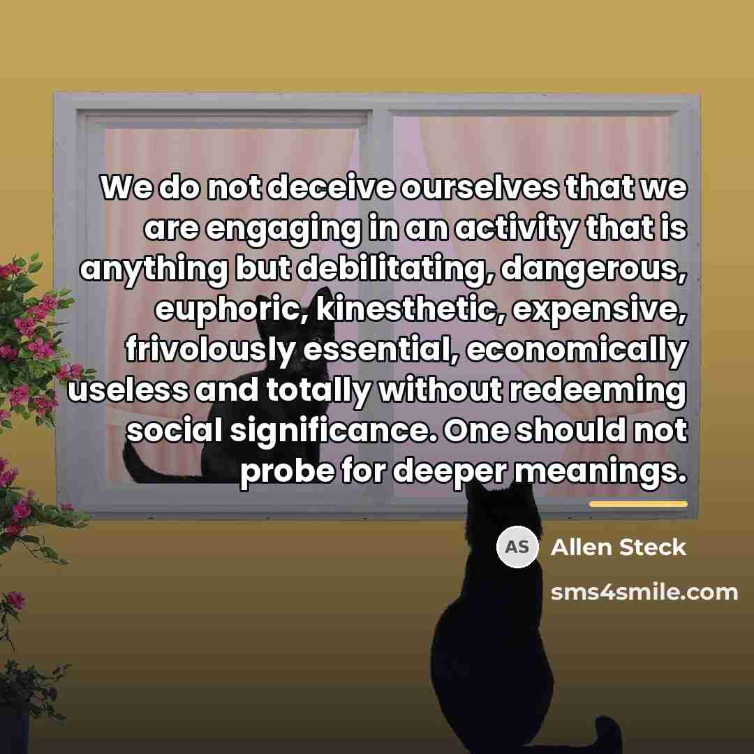 “We do not deceive ourselves that we are engaging in…” quote by Allen Steck