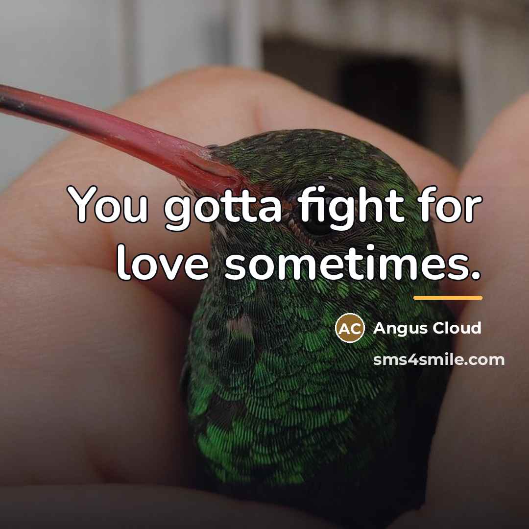 “You gotta fight for love sometimes.…” quote by Angus Cloud