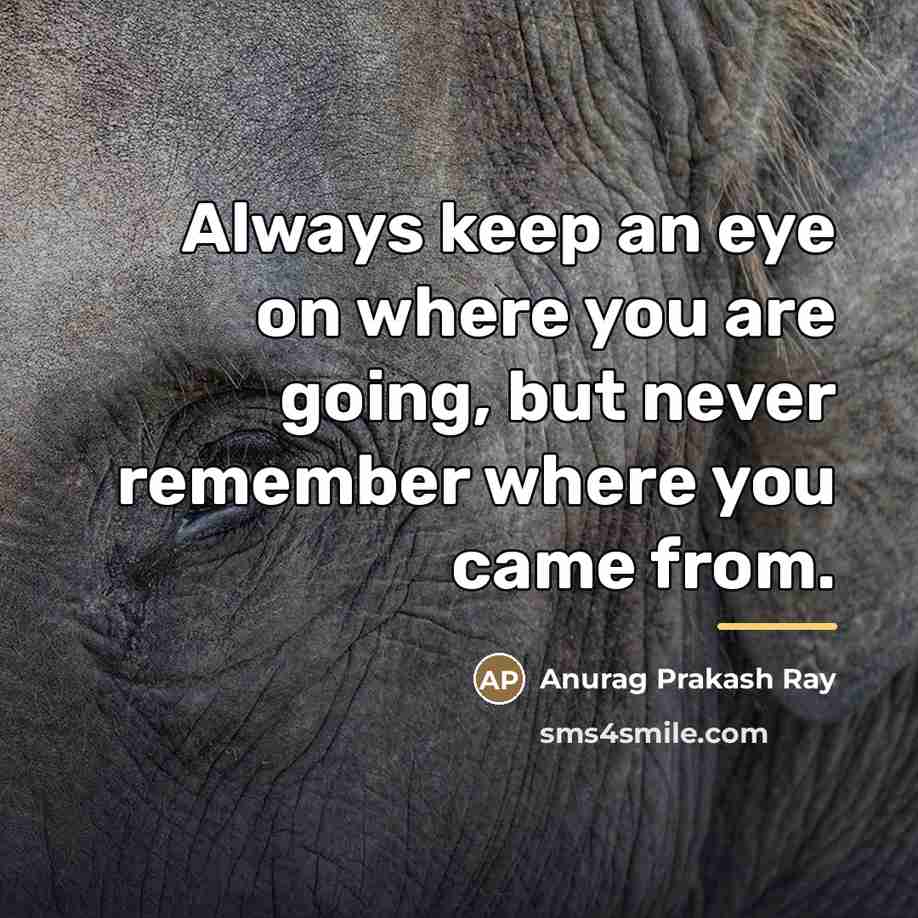 “Always keep an eye on where you are going, but…” quote by Anurag Prakash Ray