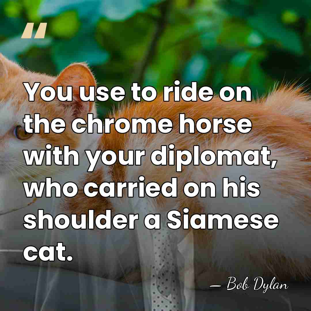 You use to ride on the chrome horse with your diplomat, who&hellip; - Bob Dylan