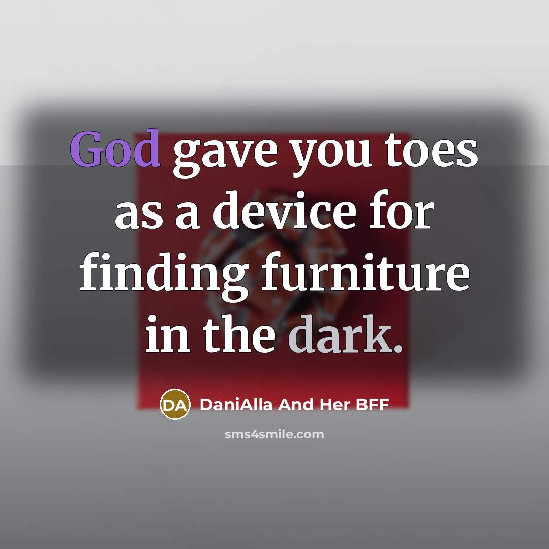 “God gave you toes as a device for finding furniture…” quote by DaniAlla And Her BFF