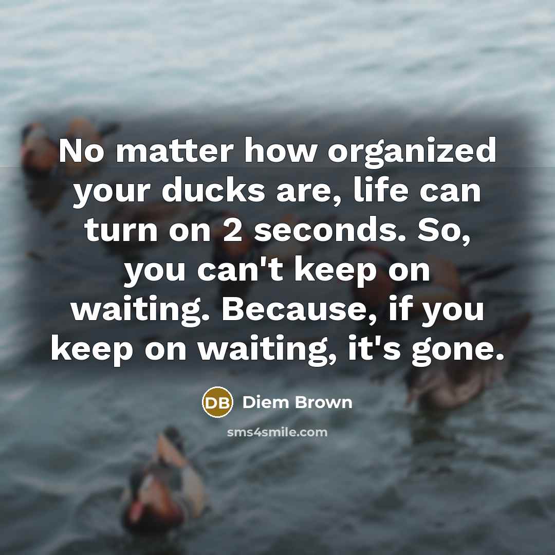 “No matter how organized your ducks are, life can turn…” quote by Diem Brown