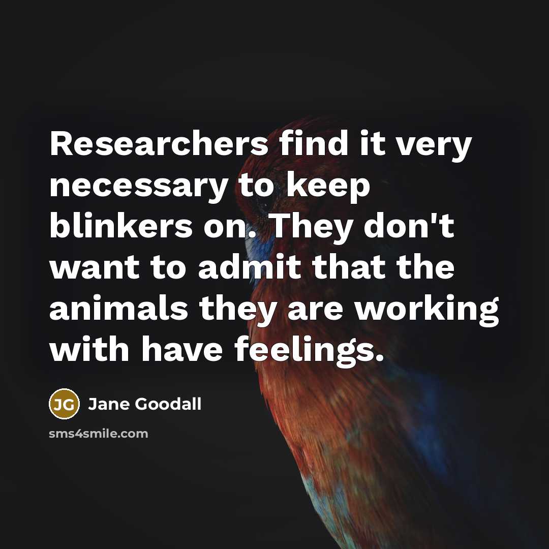 “Researchers find it very necessary to keep blinkers on. They…” quote by Jane Goodall
