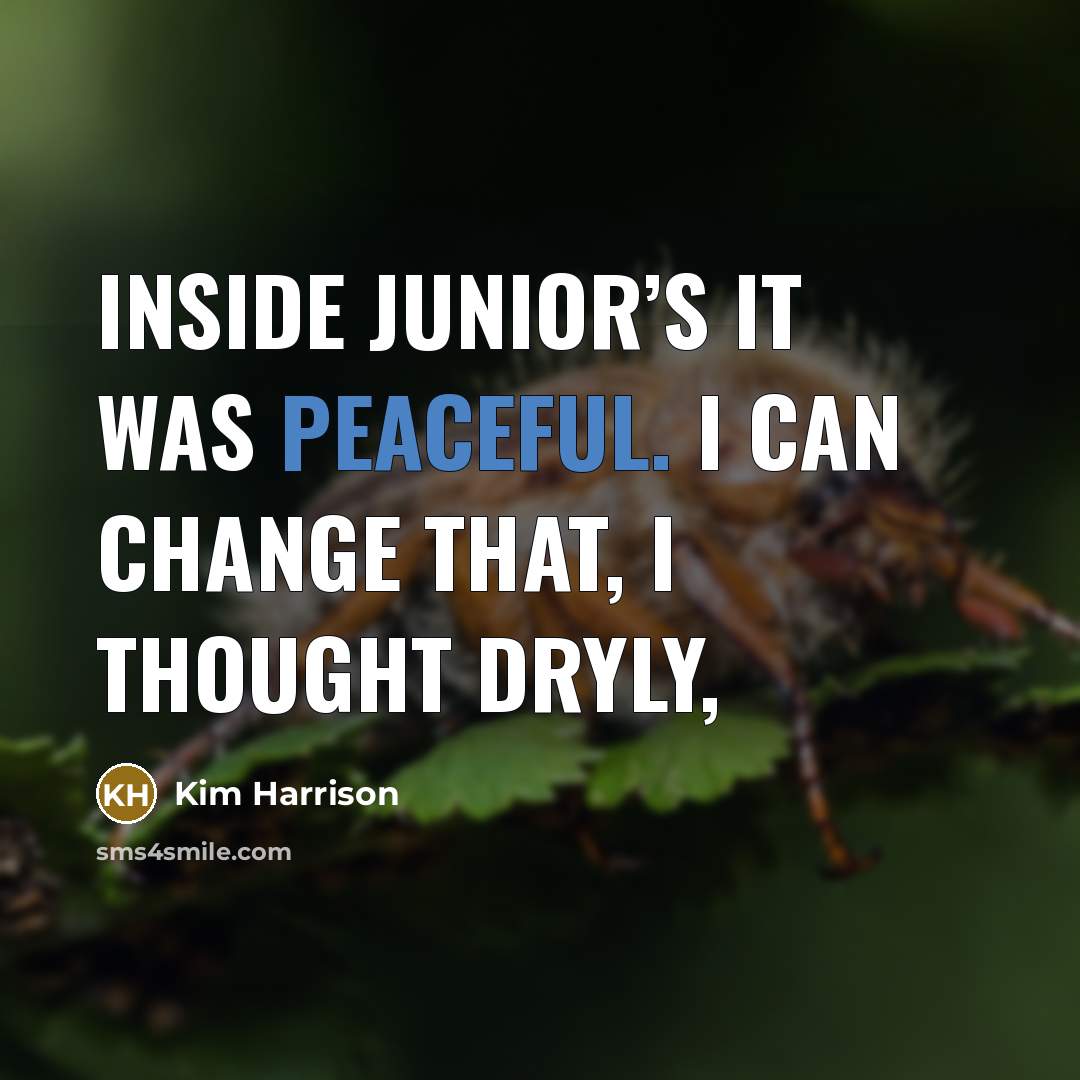 “Inside Junior’s it was peaceful. I can change that, I thought dryly,” quote by Kim Harrison