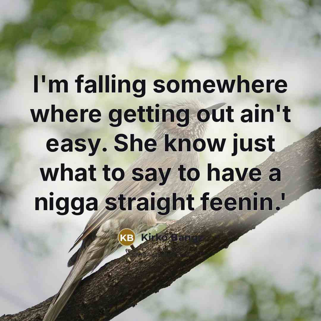 “I'm falling somewhere where getting out ain't easy. She know just what to say to have a nigga straight feenin.'” quote by Kirko Bangz