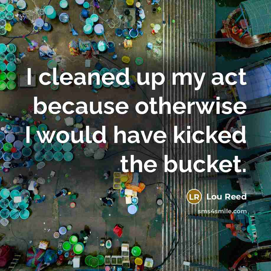 “I cleaned up my act because otherwise I would have…” quote by Lou Reed
