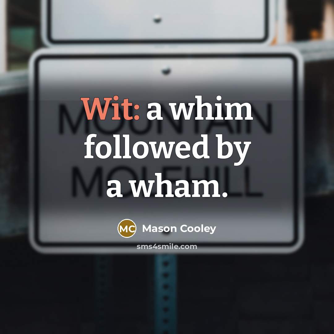“Wit: a whim followed by a wham.…” quote by Mason Cooley