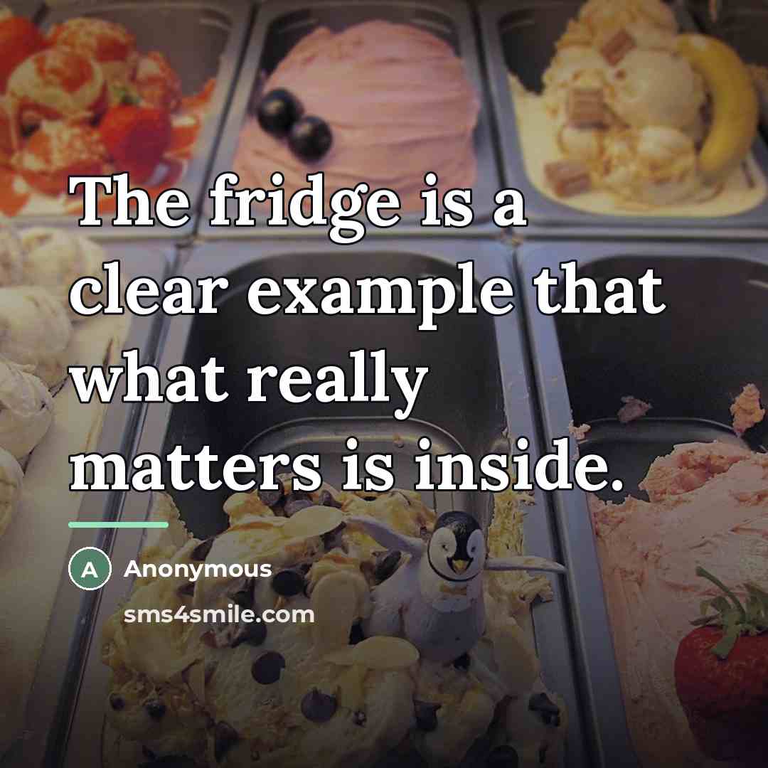 “The fridge is a clear example that what really matters…” quote by Anonymous
