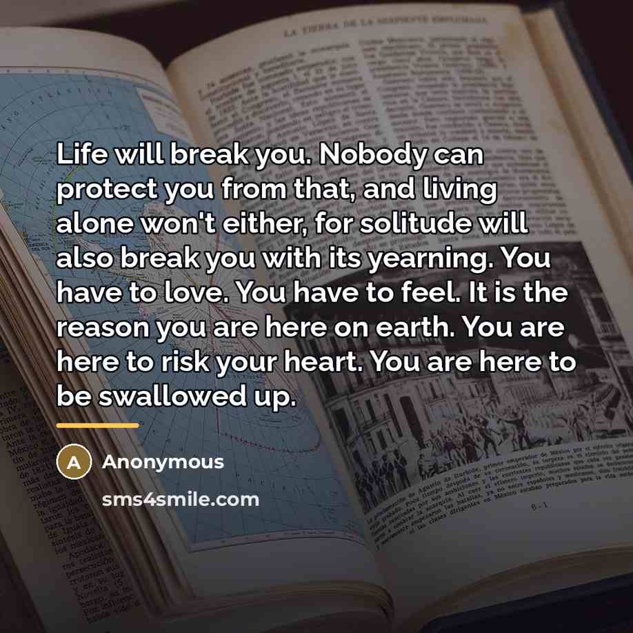 “Life will break you. Nobody can protect you from that,…” quote by Anonymous