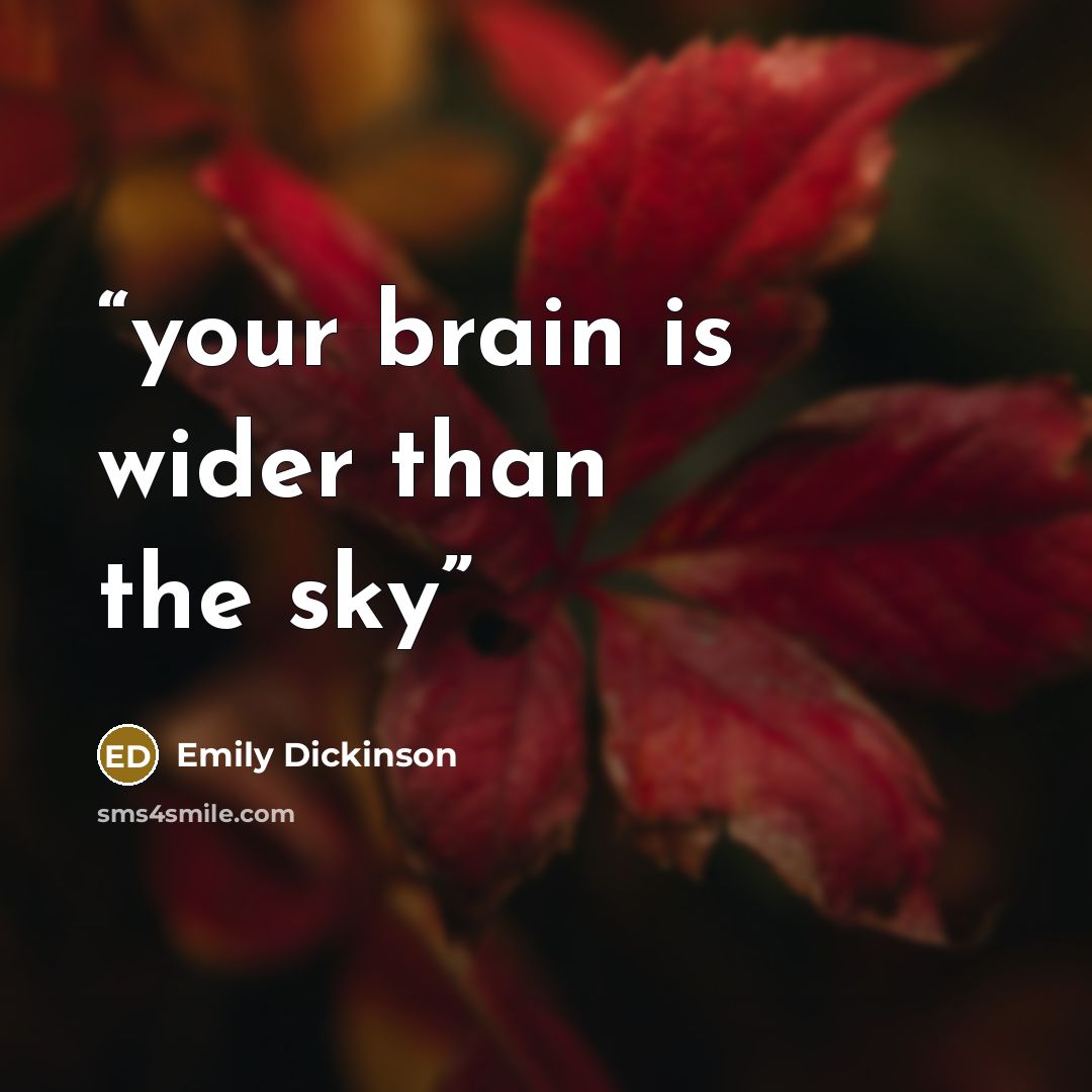 “your brain is wider than the sky” quote by Emily Dickinson