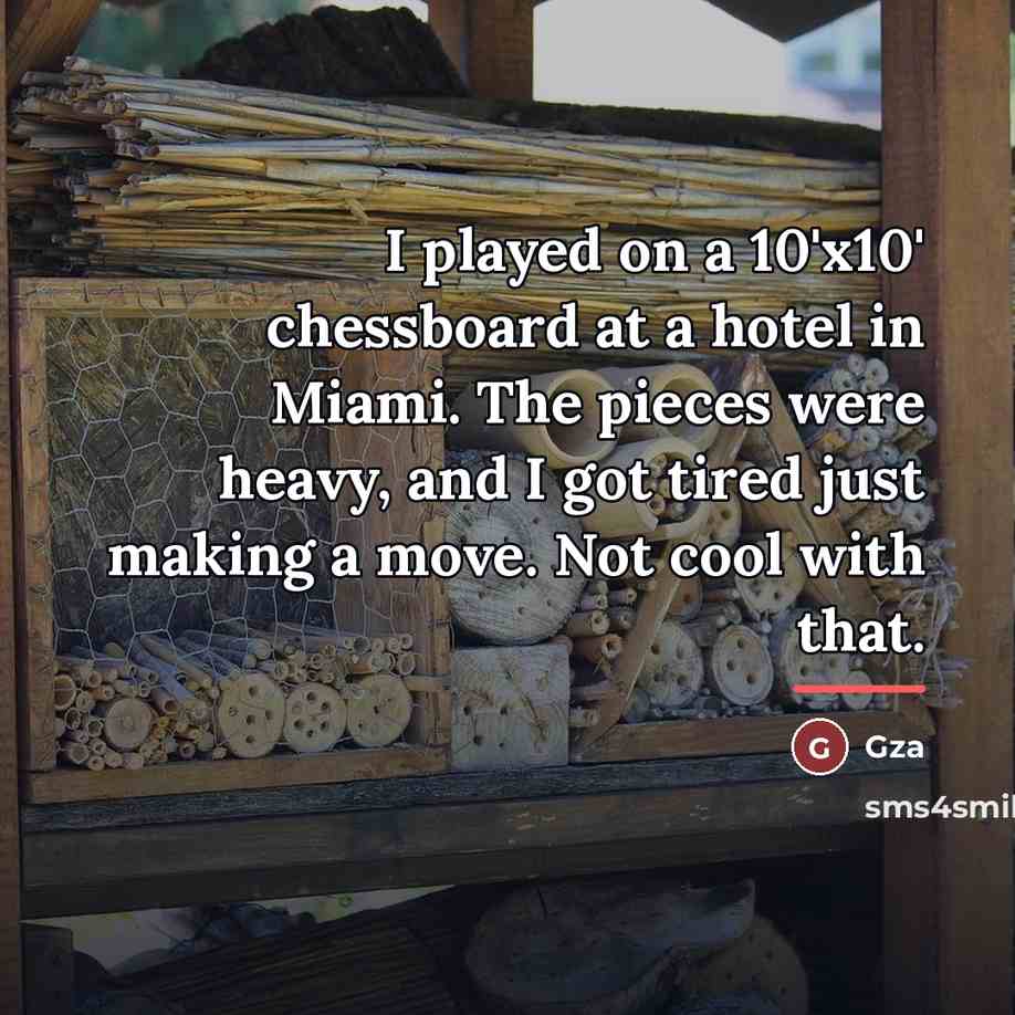 “I played on a 10'x10' chessboard at a hotel in…” quote by Gza