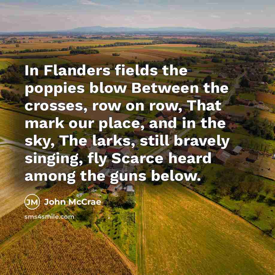 “In Flanders fields the poppies blow Between the crosses, row…” quote by John McCrae