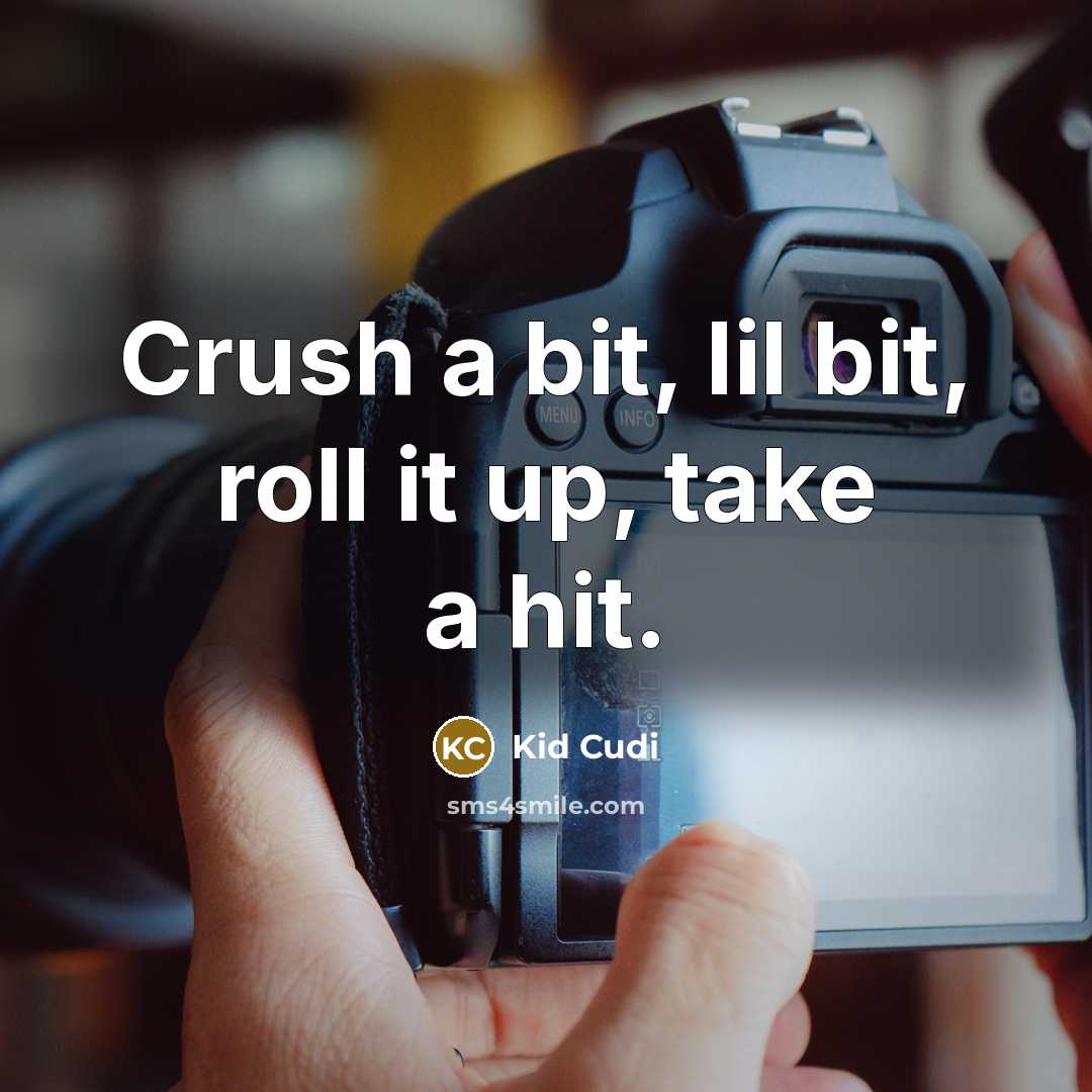 “Crush a bit, lil bit, roll it up, take a hit.” quote by Kid Cudi