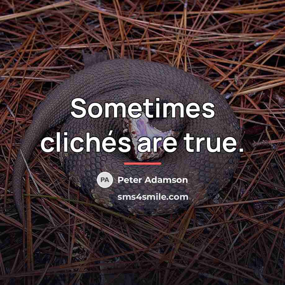 “Sometimes clichés are true.…” quote by Peter Adamson