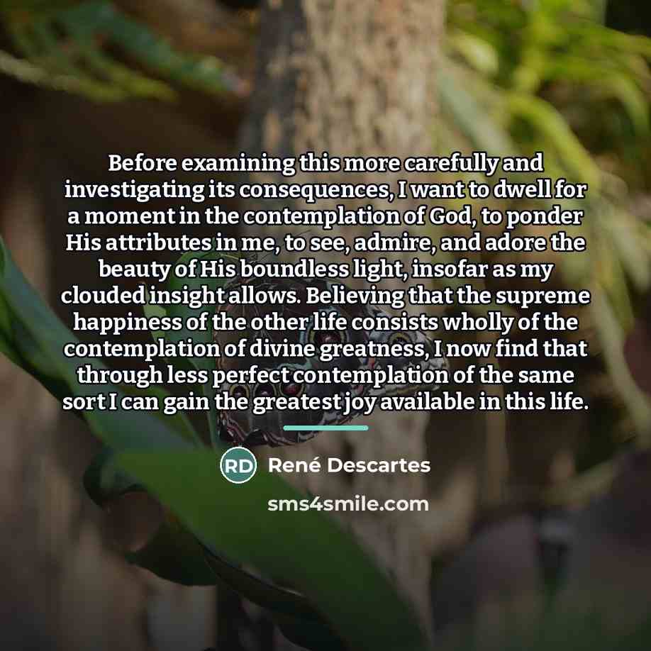 “Before examining this more carefully and investigating its consequences, I…” quote by Rene Descartes