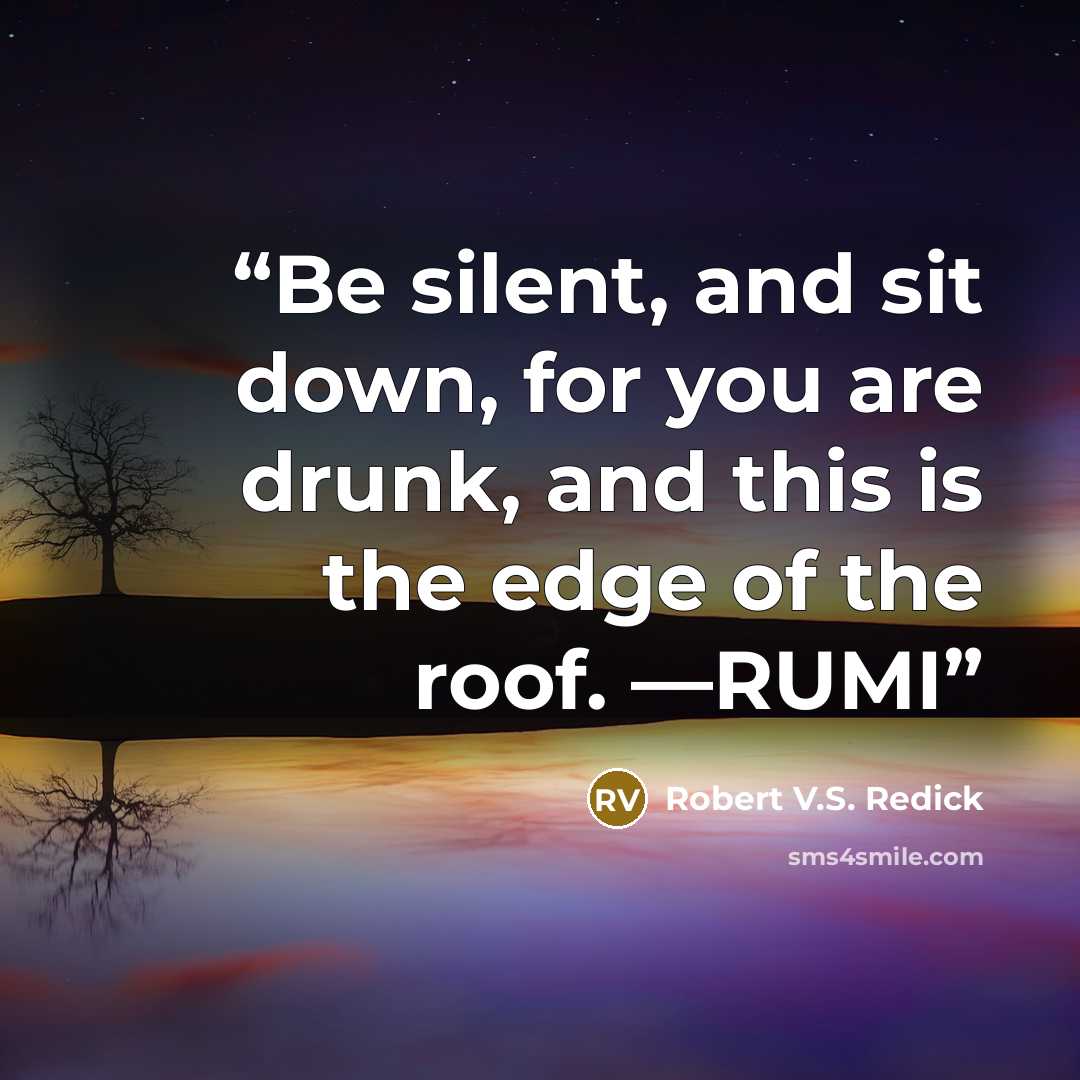 “Be silent, and sit down, for you are drunk, and this is the edge of the roof. —RUMI” quote by Robert V.S. Redick