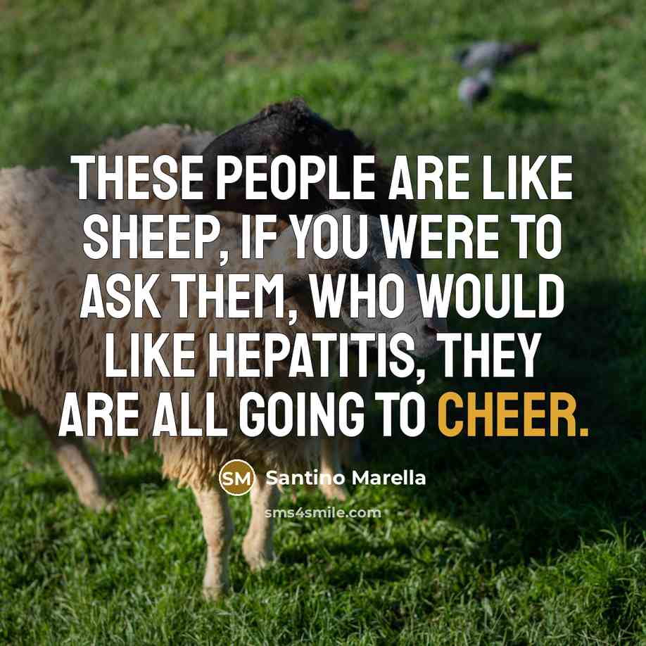 “These people are like sheep, if you were to ask…” quote by Santino Marella