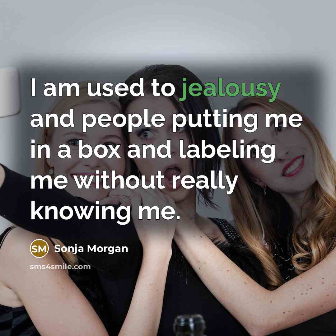 “I am used to jealousy and people putting me in…” quote by Sonja Morgan