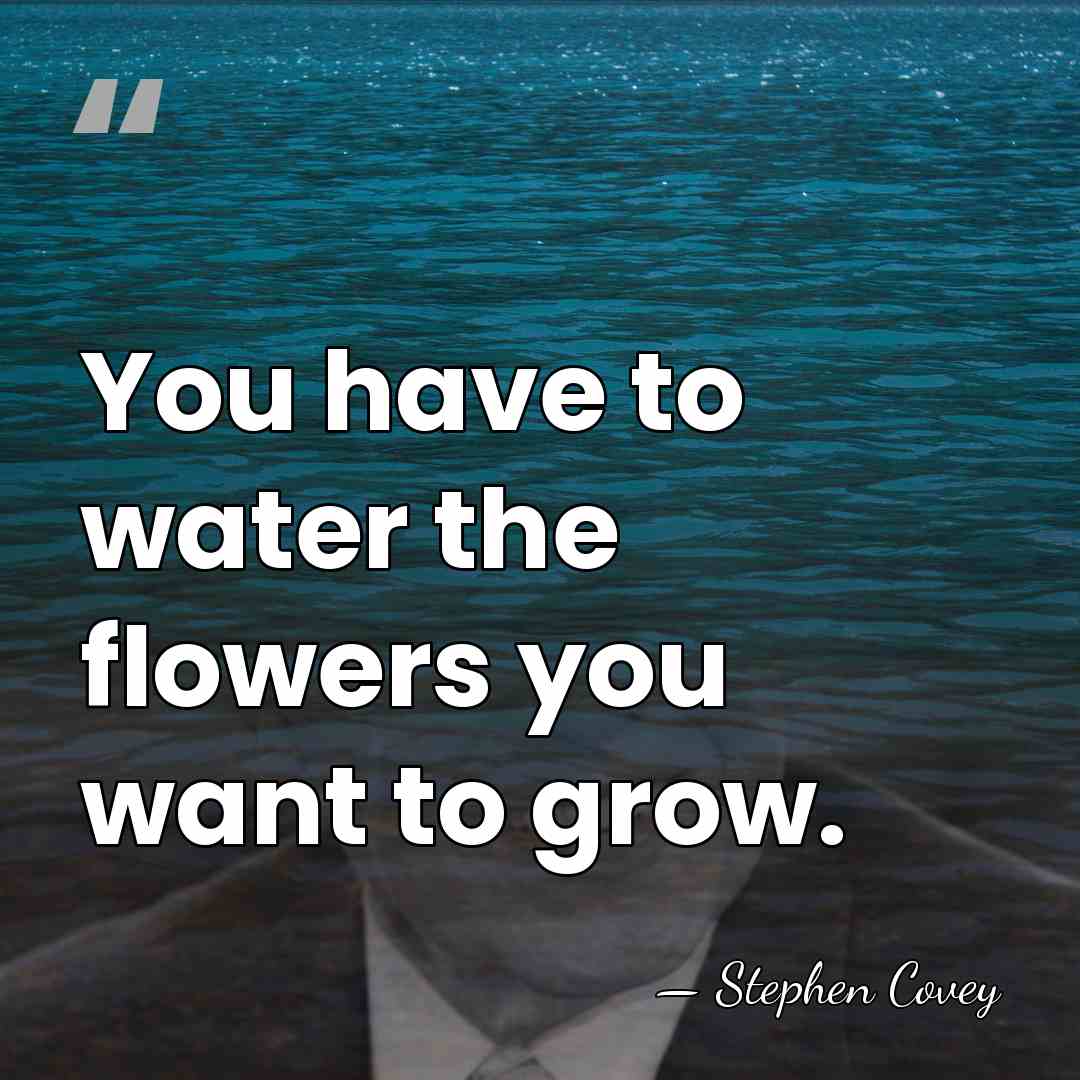 You have to water the flowers you want to grow. - Stephen Covey