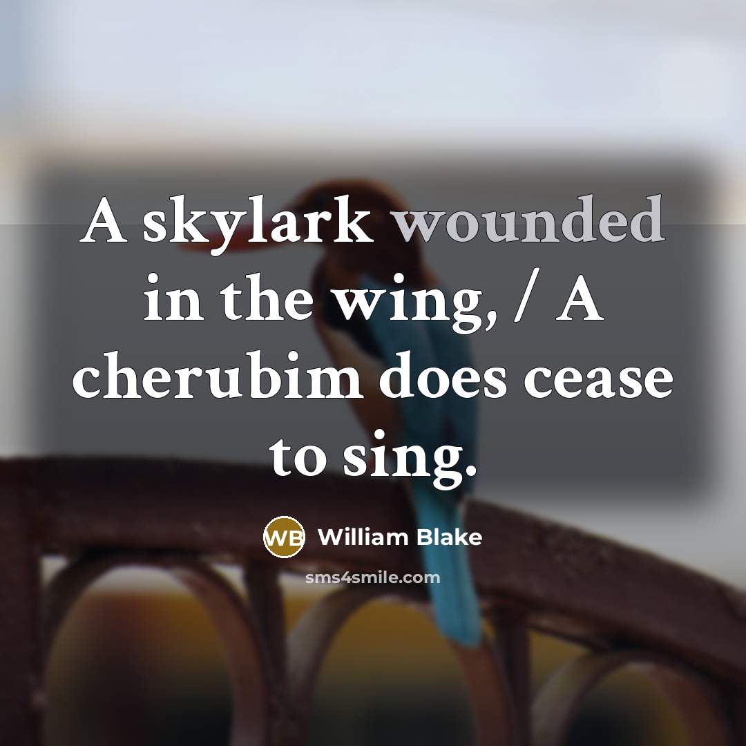 “A skylark wounded in the wing, / A cherubim does cease to sing.” quote by William Blake
