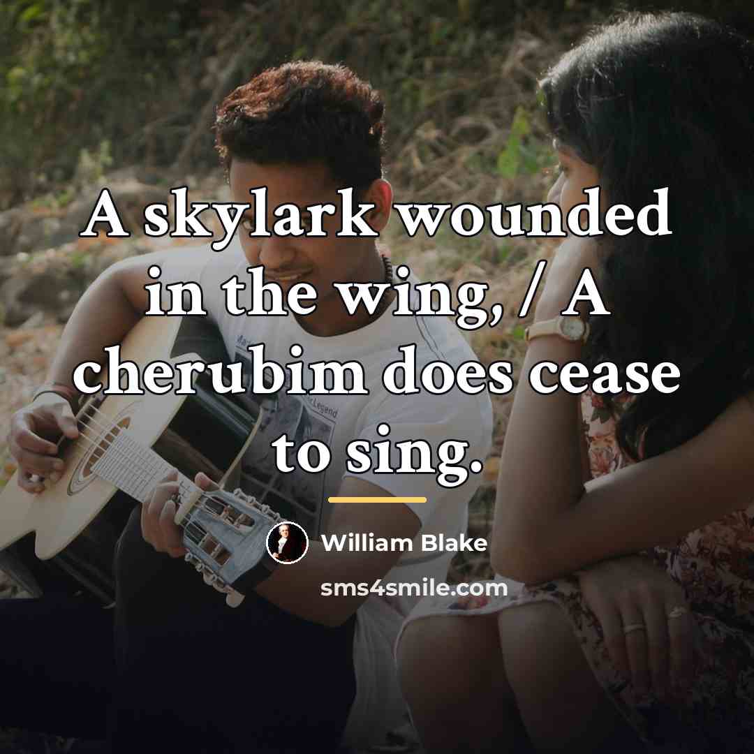 “A skylark wounded in the wing, / A cherubim does…” quote by William Blake