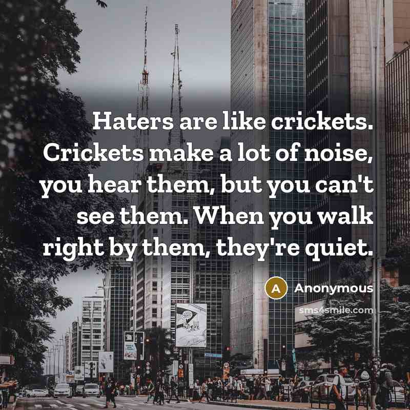 “Haters are like crickets. Crickets make a lot of noise, you hear them, but you can't see them. When you walk right by them, they're quiet.” quote by Anonymous