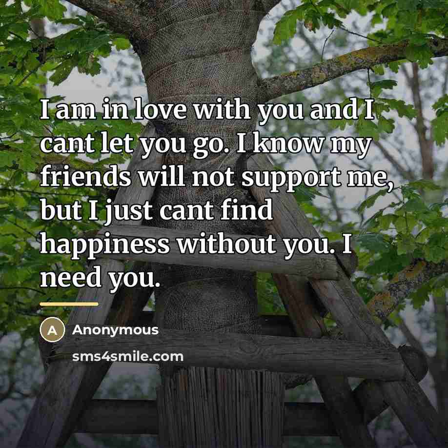 “I am in love with you and I cant let…” quote by Anonymous