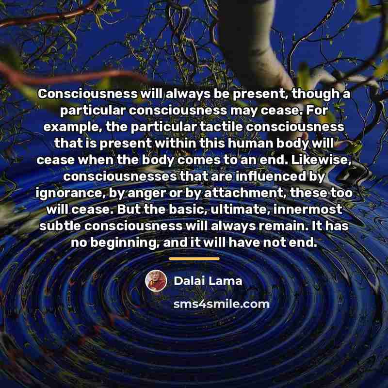 “Consciousness will always be present, though a particular consciousness may…” quote by Dalai Lama