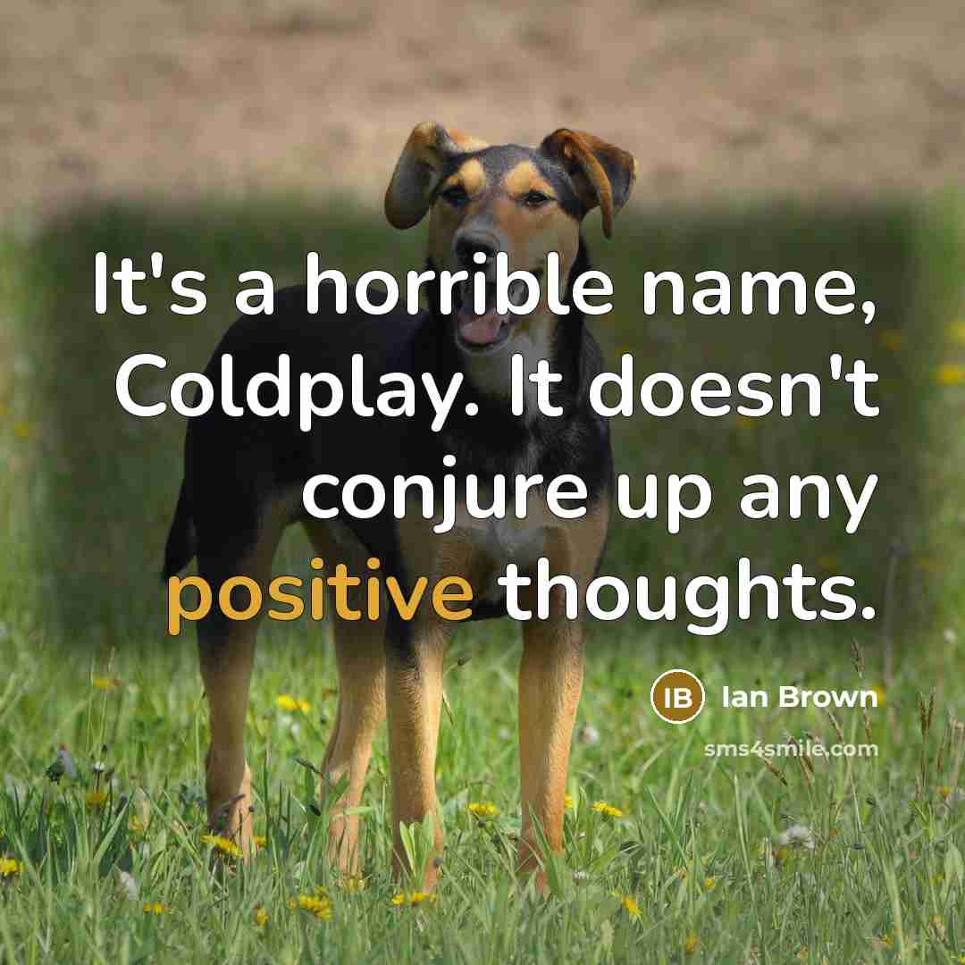 “It's a horrible name, Coldplay. It doesn't conjure up any…” quote by Ian Brown