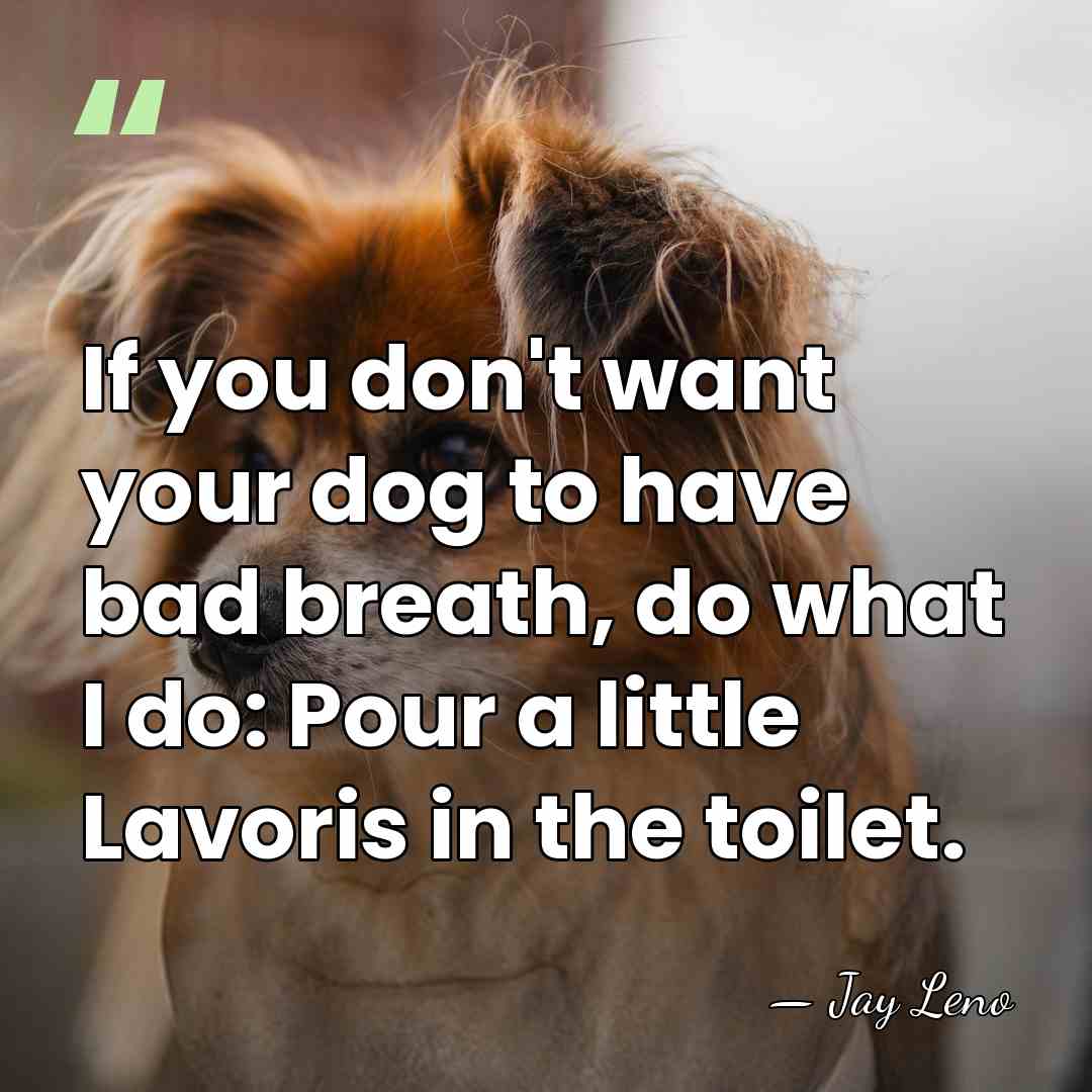If you don't want your dog to have bad breath, do what&hellip; - Jay Leno