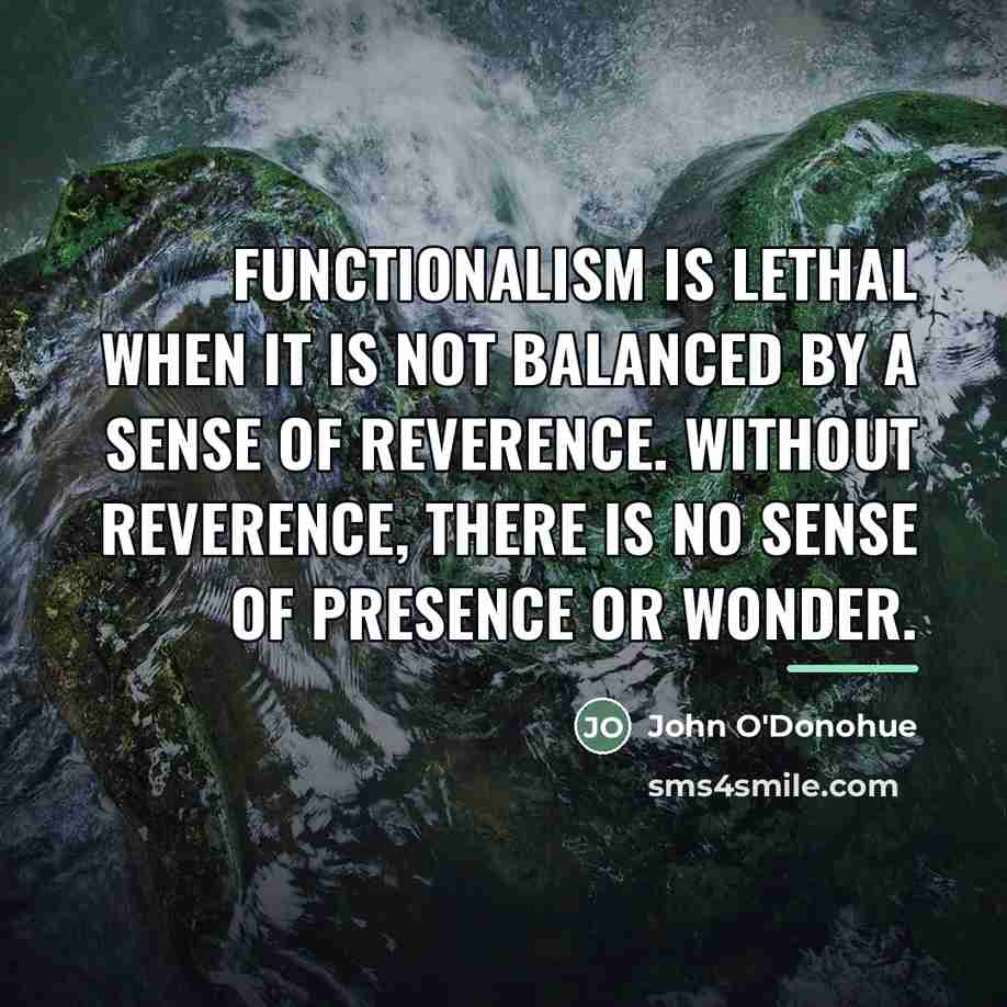 “Functionalism is lethal when it is not balanced by a…” quote by John O'Donohue