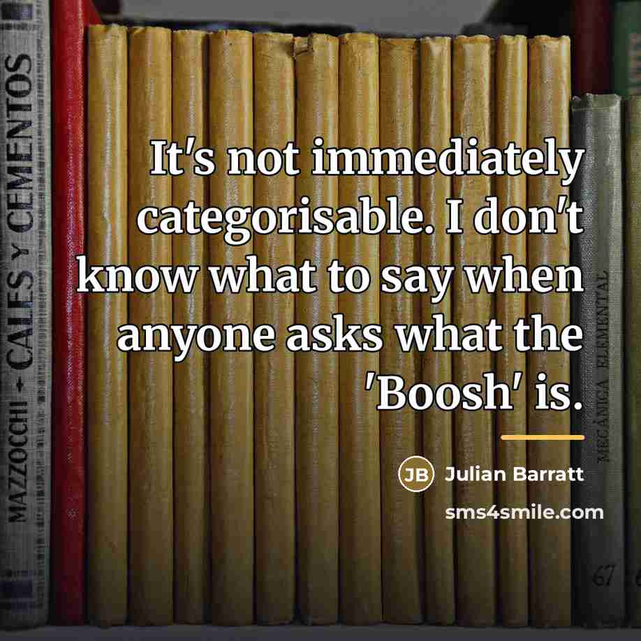 “It's not immediately categorisable. I don't know what to say…” quote by Julian Barratt