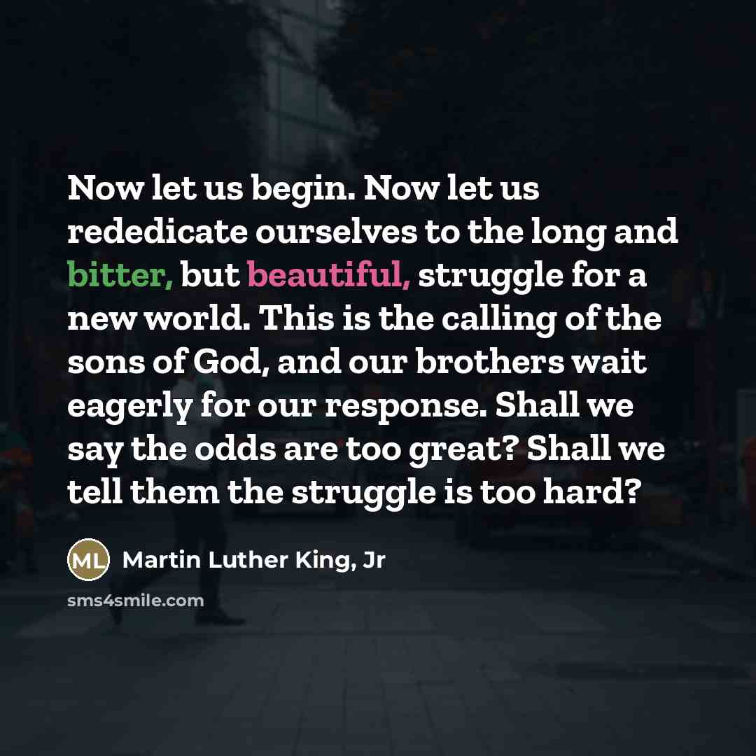 “Now let us begin. Now let us rededicate ourselves to…” quote by Martin Luther King, Jr