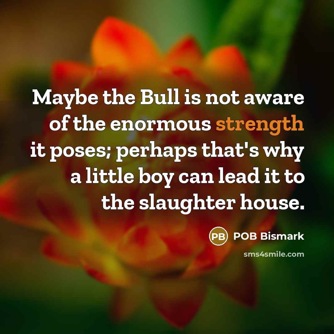 “Maybe the Bull is not aware of the enormous strength…” quote by POB Bismark