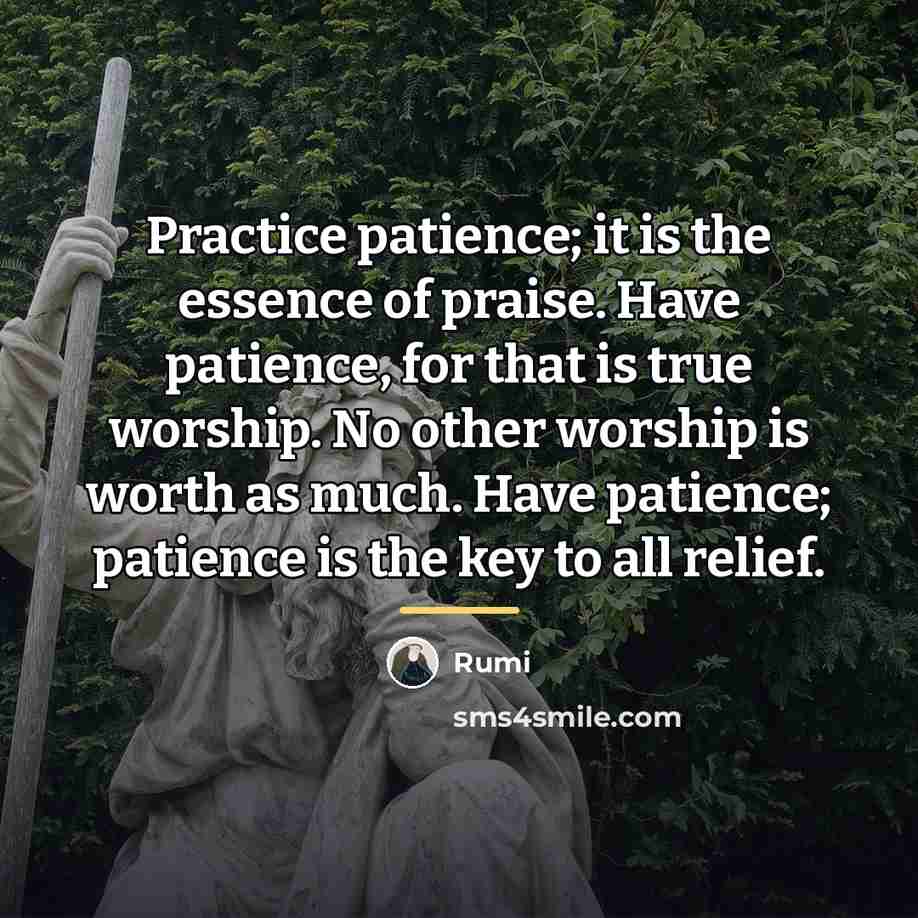 “Practice patience; it is the essence of praise. Have patience,…” quote by Rumi
