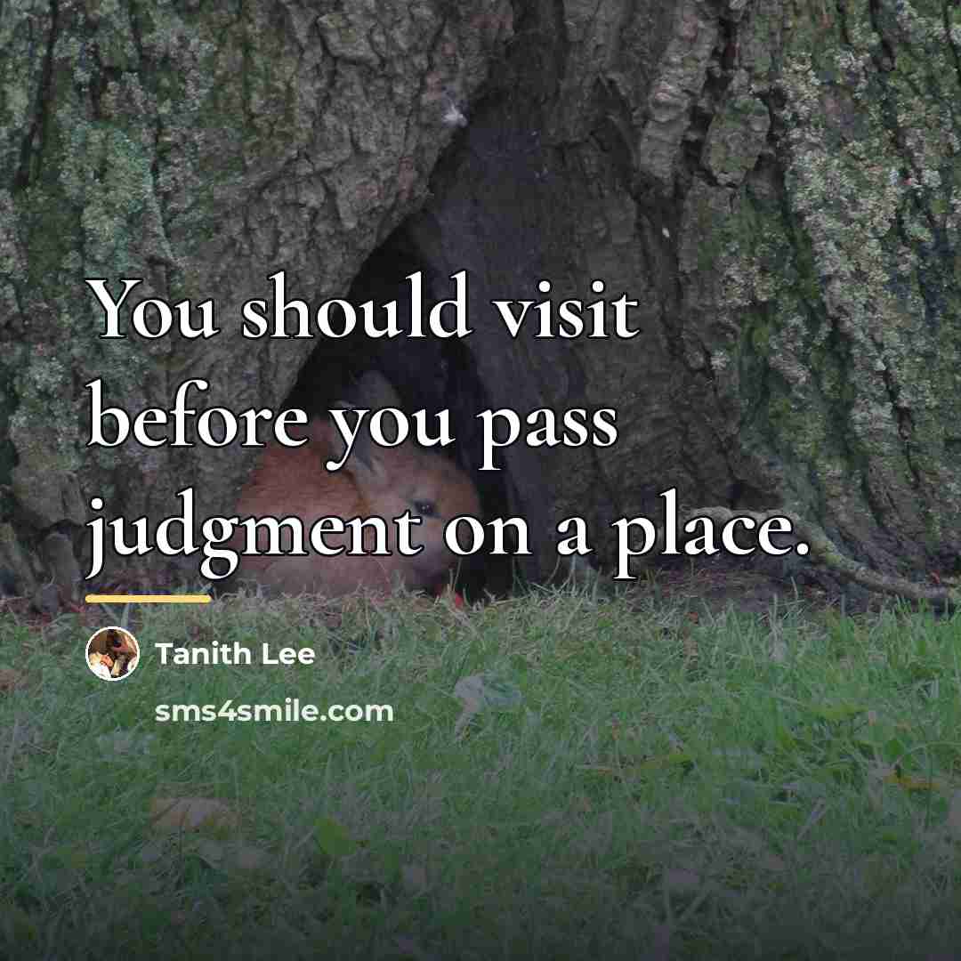 “You should visit before you pass judgment on a place.…” quote by Tanith Lee