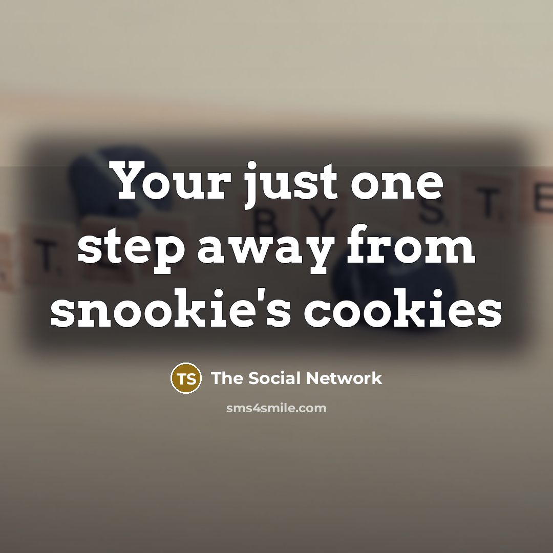 “Your just one step away from snookie's cookies…” quote by The Social Network