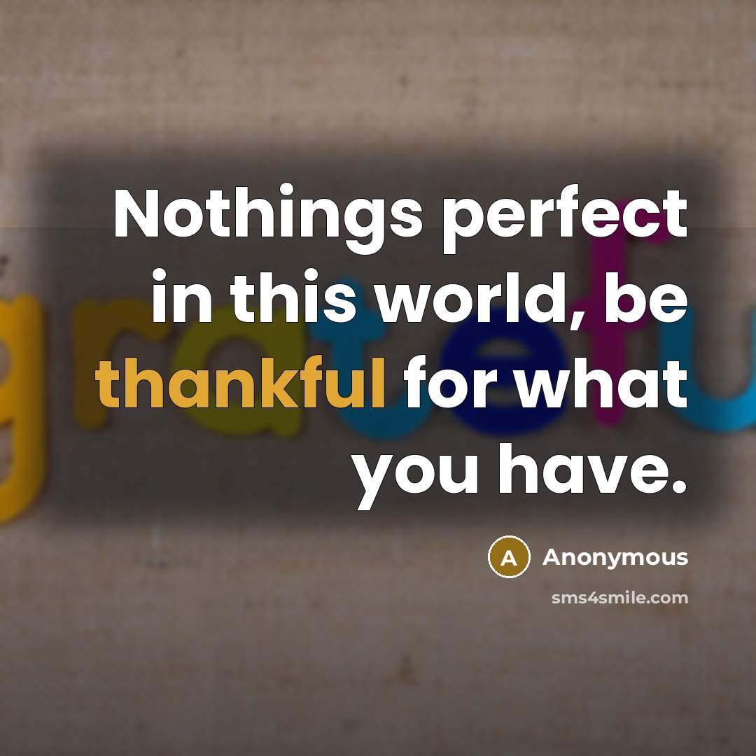 “Nothings perfect in this world, be thankful for what you have.” quote by Anonymous