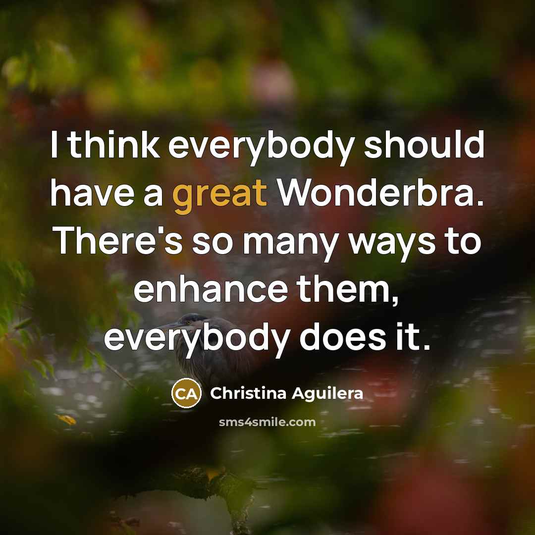 “I think everybody should have a great Wonderbra. There's so…” quote by Christina Aguilera