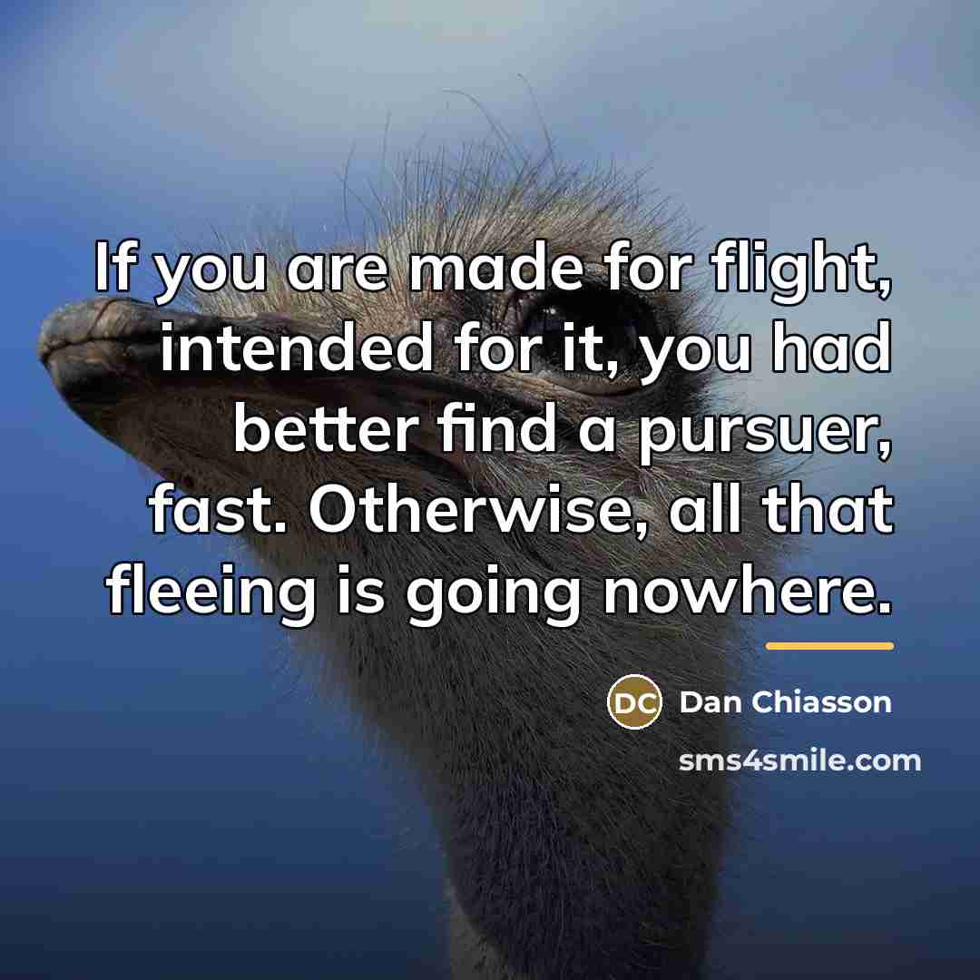 “If you are made for flight, intended for it, you…” quote by Dan Chiasson