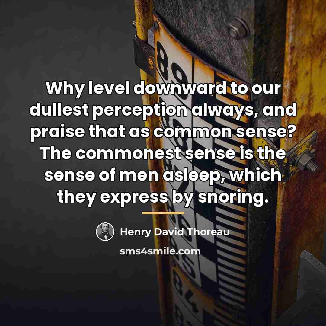 “Why level downward to our dullest perception always, and praise…” quote by Henry David Thoreau