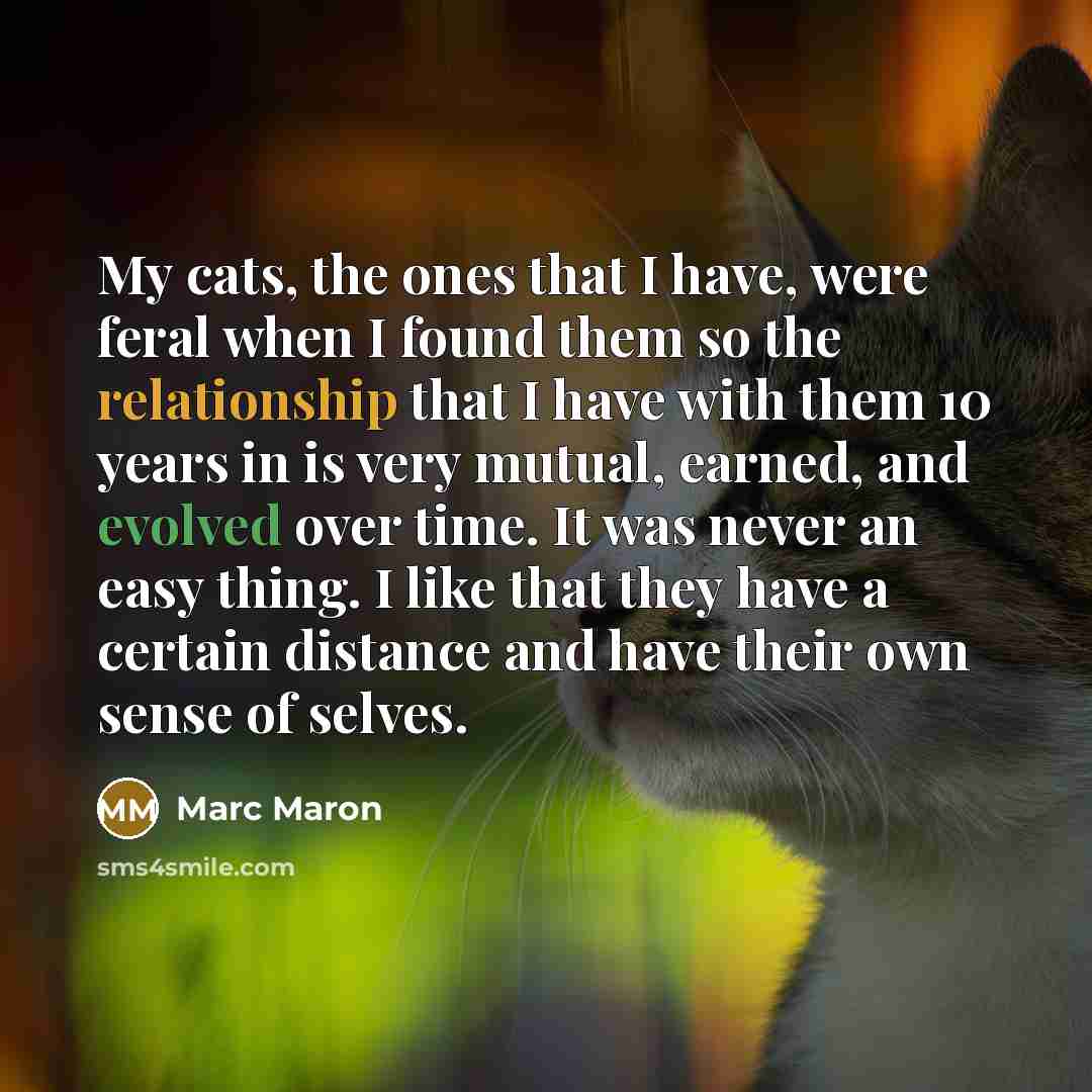 “My cats, the ones that I have, were feral when…” quote by Marc Maron