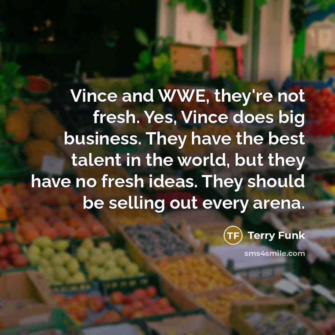 “Vince and WWE, they're not fresh. Yes, Vince does big…” quote by Terry Funk